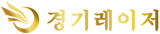 경기레이저 로고